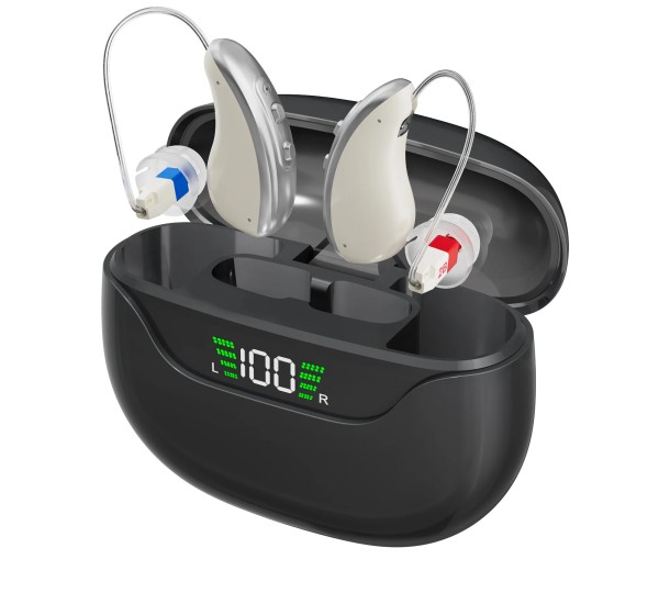 RECHARGEABLE HEARING AID MODEL-323 DUAL TYPE 16 CHANNELS